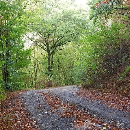 Neumuehle 2 Appartamento *