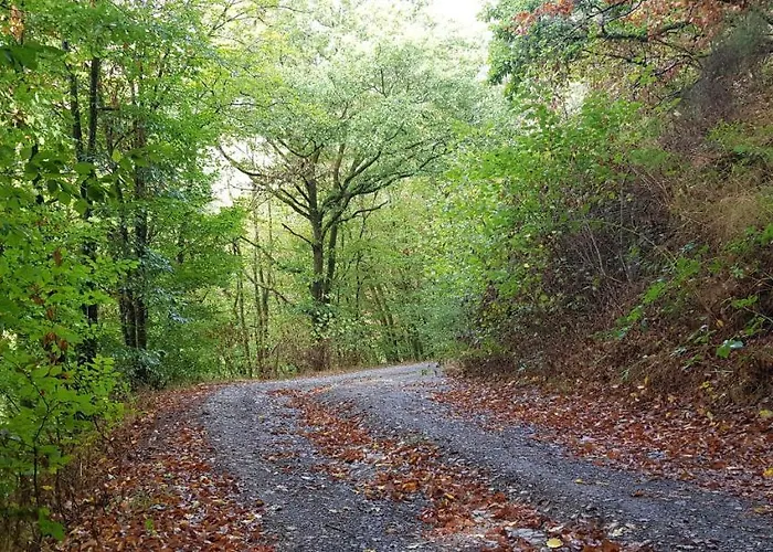 Neumuehle 2 Apartmán *